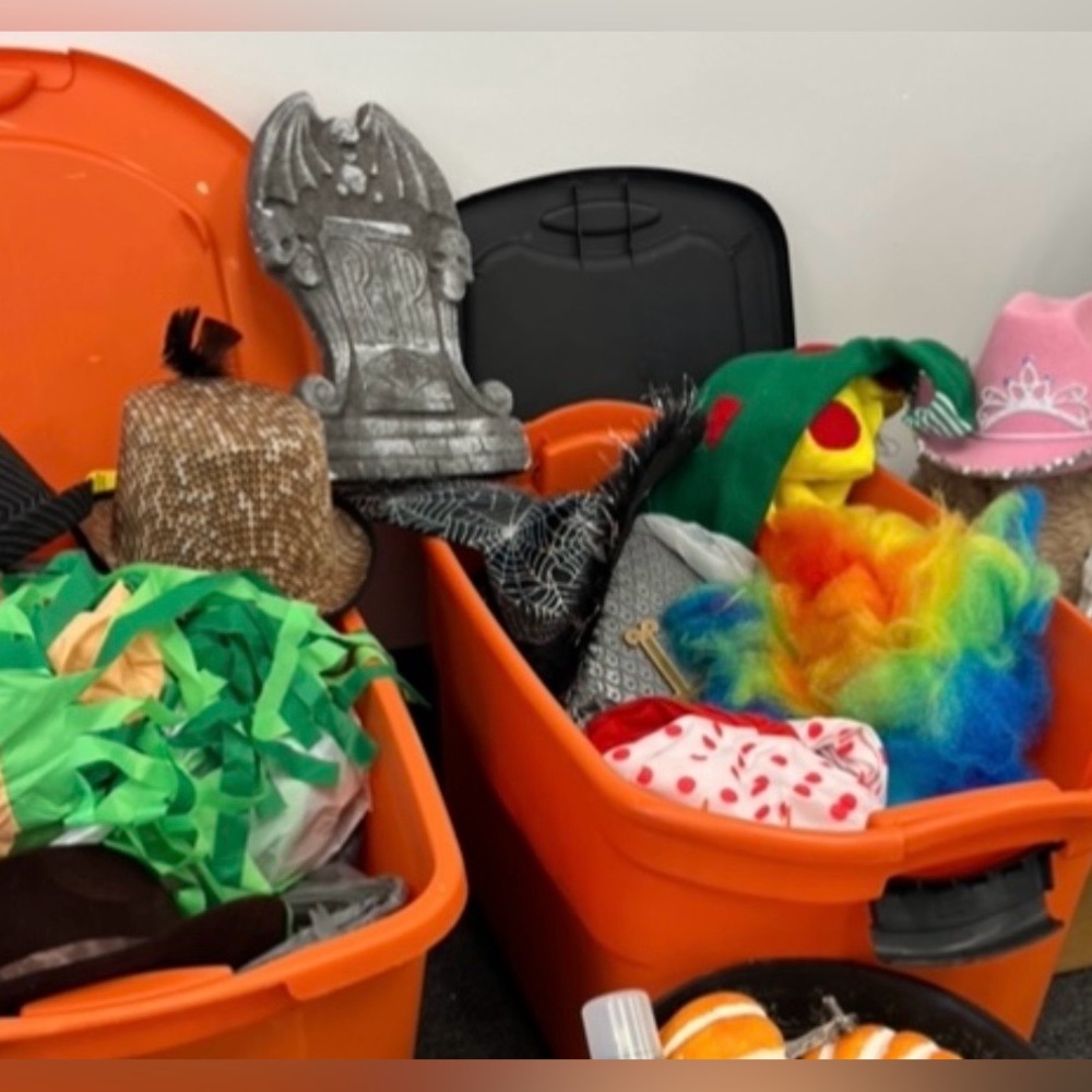 Large collection of assorted kids costumes
